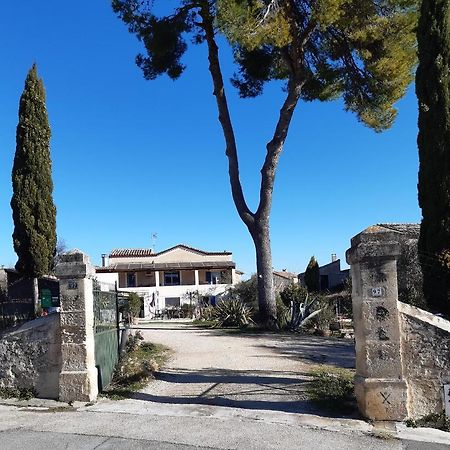 Gites Du Mas Gibert A Saussines Entre Nimes Et Montpellier Exterior photo