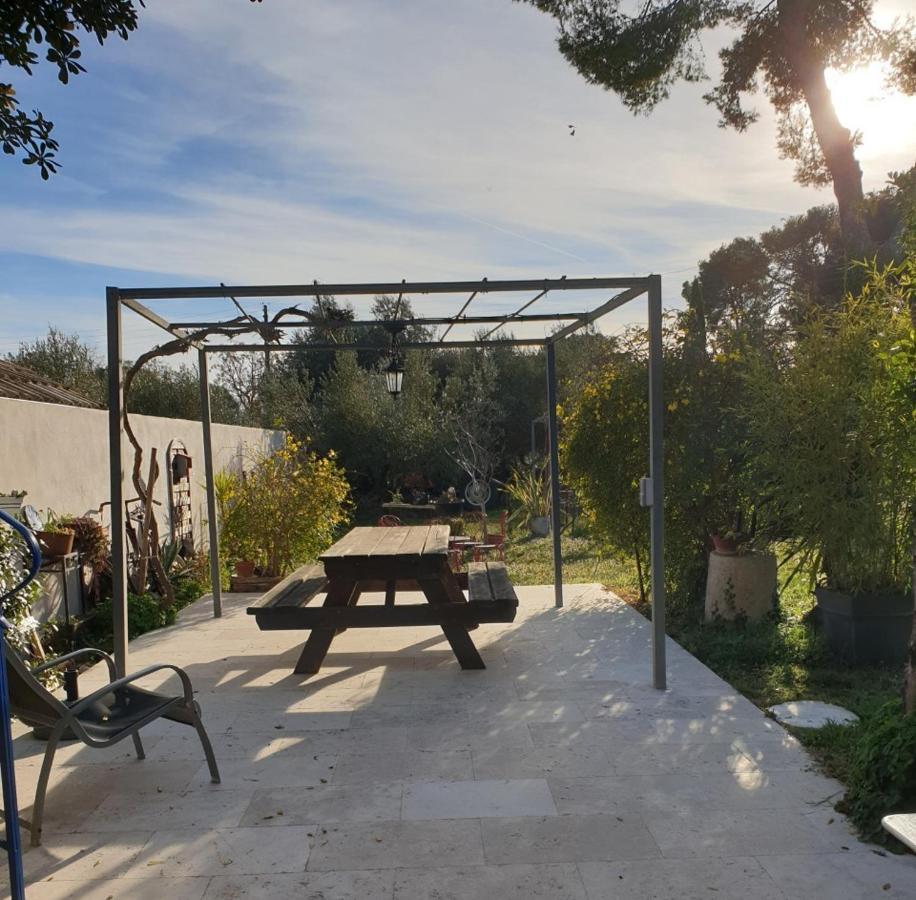 Gites Du Mas Gibert A Saussines Entre Nimes Et Montpellier Exterior photo